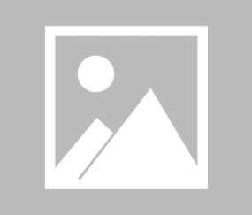 开云-V8.2.0 最新版发布，2025年12月24日，开启智能新纪元